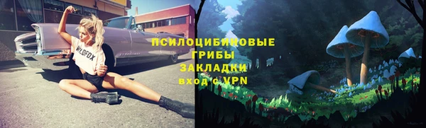 гидра Козловка