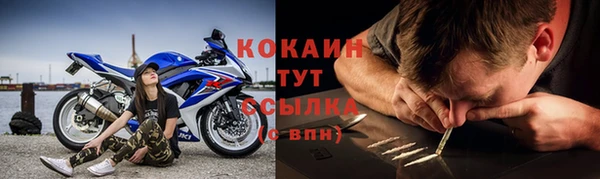 прущие грибы Великий Новгород