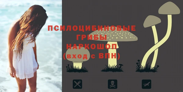 МДПВ Коряжма