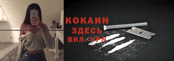 тгк Кулебаки