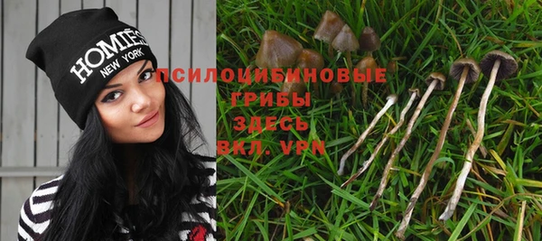 крисы Кукмор