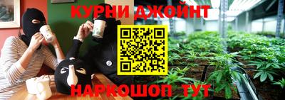 тгк Гай
