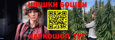 тгк Гай