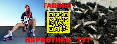 тгк Гай