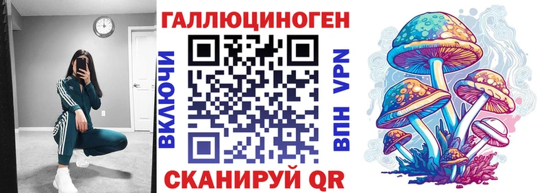 Псилоцибиновые грибы Cubensis даркнет сайт Малгобек
