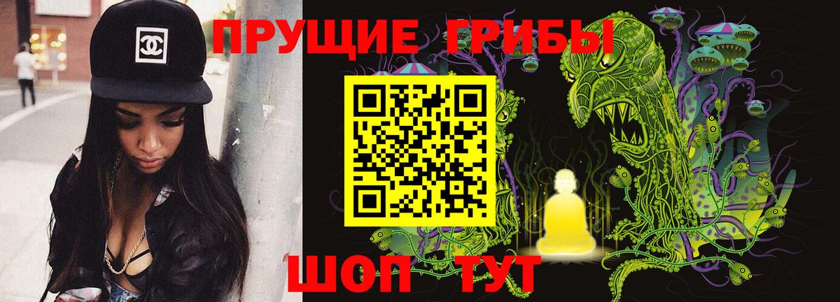 Псилоцибиновые грибы MAGIC MUSHROOMS  Вход с VPN  Псилоцибиновые грибы мухоморы  Малгобек 