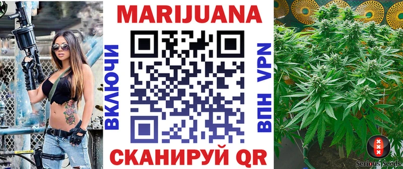 Канабис план  KRAKEN онион  Малгобек  где купить наркоту 